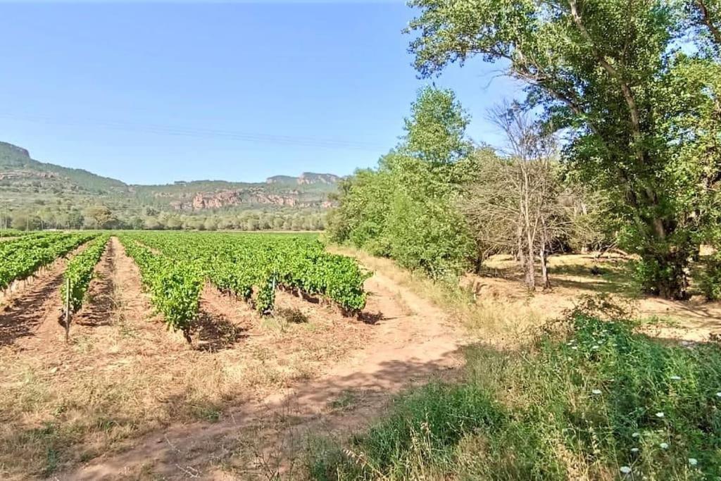 Superbe Villa Cadre Campagne Roquebrune-sur-Argens Exterior photo